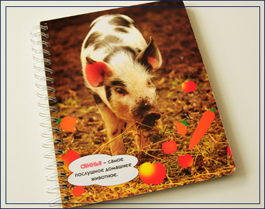 兒童模切書(shū) 我襟懷古